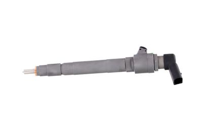 INJECTOR REMANTE 002003001053R 10