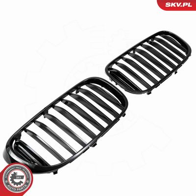 GRILA RADIATOR ESEN SKV 66SKV222 2