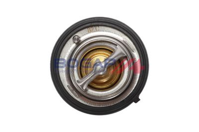 TERMOSTAT LICHID RACIRE BOGAP W4245113 2