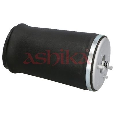 ARC PNEUMATIC DIRECTIE