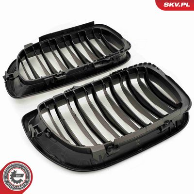 GRILA RADIATOR ESEN SKV 66SKV083 3