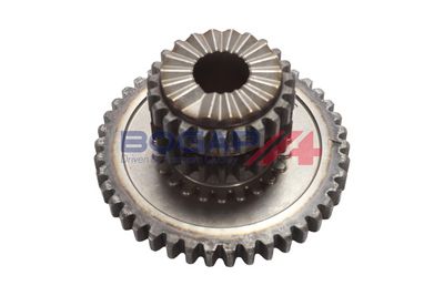 ROATA DINTATA ARBORE COTIT BOGAP A1220116 2