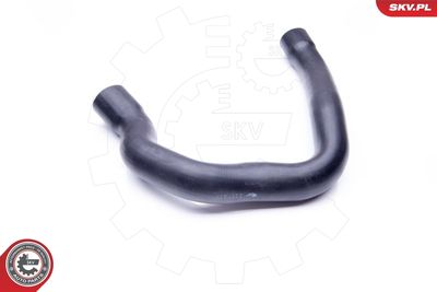 FURTUN EAR SUPRAALIMENTARE