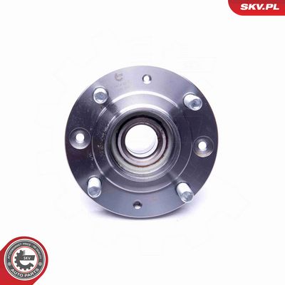 SET RULMENT ROATA ESEN SKV 29SKV210 3