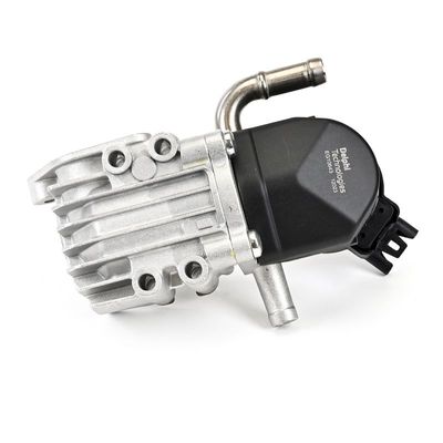 AGR-VENTIL DELPHI EG1064312B1 3