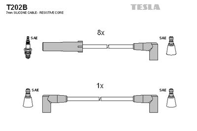 TESLA Zündleitungssatz (T202B)