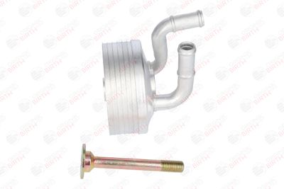 RADIATOR ULEI ULEI MOTOR BIRTH 80138 10