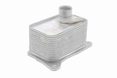 ÖLKüHLER MOTORöL VEMO V15606068 4