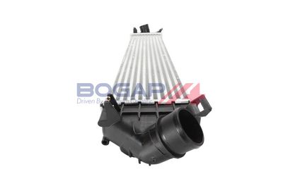 INTERCOOLER COMPRESOR BOGAP F4220102 7