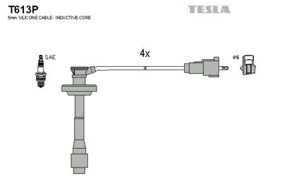 SET CABLAJ APRINDER TESLA T613P