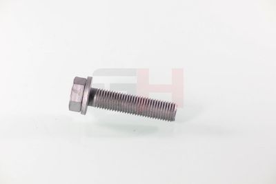 SURUB CAPAT DE AX GH GH391539 58