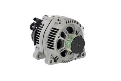 GENERATOR / ALTERNATOR REMANTE 011003000053R 53