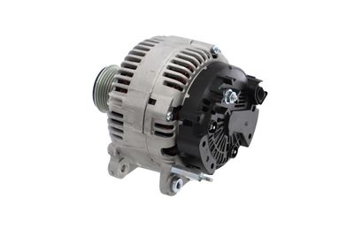 GENERATOR / ALTERNATOR REMANTE 011003000030R 18