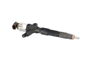 INJECTOR REMANTE 002003002073R 45
