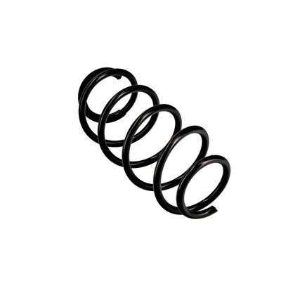 ARC SPIRAL EIBACH R10067 11