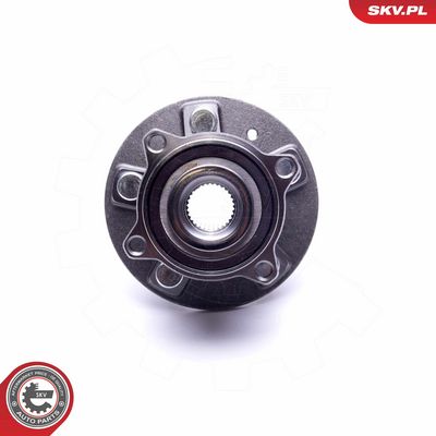 SET RULMENT ROATA ESEN SKV 29SKV405 2