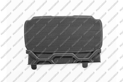 PRASCO SZ0391220 Решетка радиатора для SUZUKI SWIFT V (AZ)