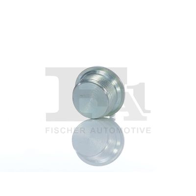 SURUB GOLIRE CARCASA TRANSMISIE FA1 257905001 12