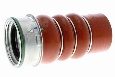 FURTUN EAR SUPRAALIMENTARE