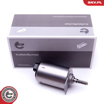 Řídicí prvek, excentrická hřídel (variabilní zdvih ventilu) SKV 96SKV087