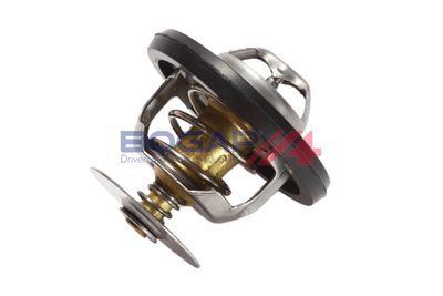 TERMOSTAT LICHID RACIRE