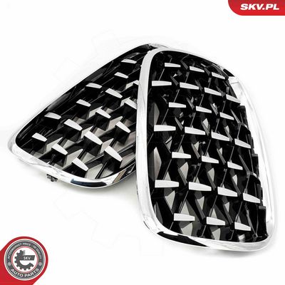 GRILA RADIATOR ESEN SKV 66SKV293 1