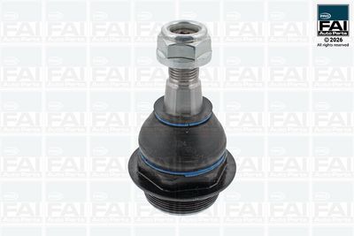 FAI AutoParts Šarnyras / girgždukas
