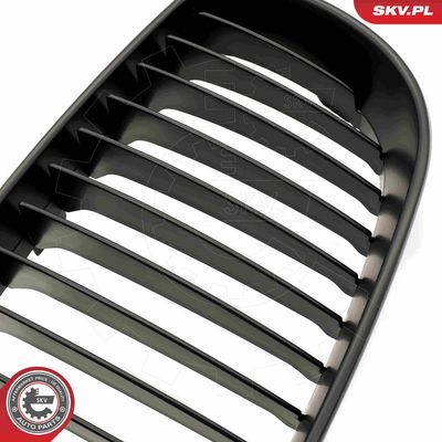 GRILA RADIATOR ESEN SKV 66SKV008 5