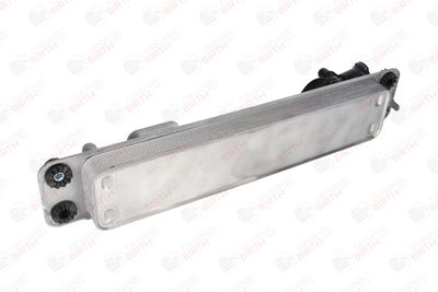 RADIATOR ULEI ULEI MOTOR BIRTH 80765 6