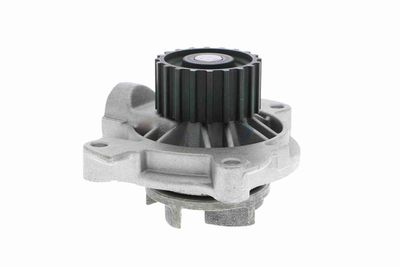 POMPă DE APă RăCIRE MOTOR VAICO V1050017 7