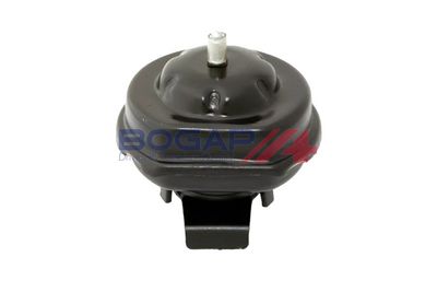 BOGAP Variklio montavimas