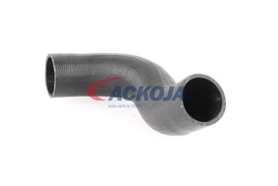 FURTUN EAR SUPRAALIMENTARE ACKOJA A380298 17
