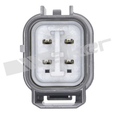 LAMBDASONDE WALKER PRODUCTS 25024512 2