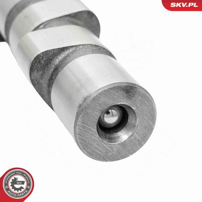 AX CU CAME ESEN SKV 80SKV019 3