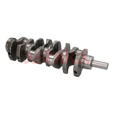 ARBORE COTIT ASHIKA 18NS000 3