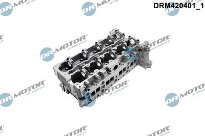Hlava válce Dr.Motor Automotive DRM420401