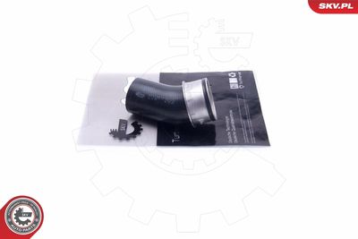 FURTUN EAR SUPRAALIMENTARE