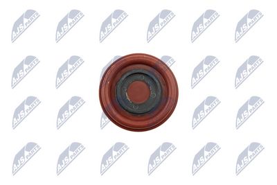 CAPAC CULBUTOR NTY BPZVV002 1