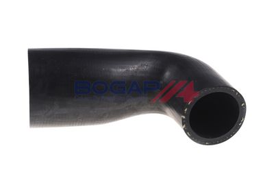 FURTUN EAR SUPRAALIMENTARE BOGAP A1711312 1