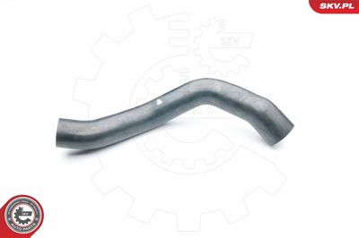 FURTUN EAR SUPRAALIMENTARE