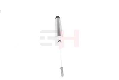 AMORTIZOR GH GH333673 18