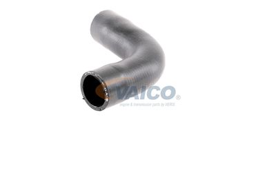 KüHLERSCHLAUCH VAICO V401343 29