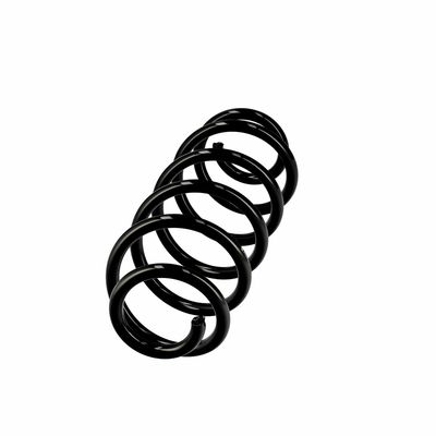 ARC SPIRAL EIBACH R10270 2
