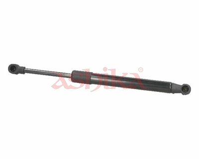 ZSA02026