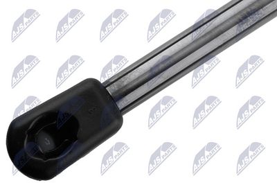 AMORTIZOR PORTBAGAJ NTY AEFR089 1