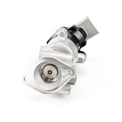 AGR-VENTIL DELPHI EG1063512B1 8