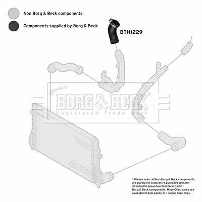 Charge Air Hose Borg & Beck BTH1229