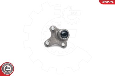 ARTICULATIE SARCINA/GHIDARE