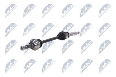 PLANETARA NTY NPWFR034 19