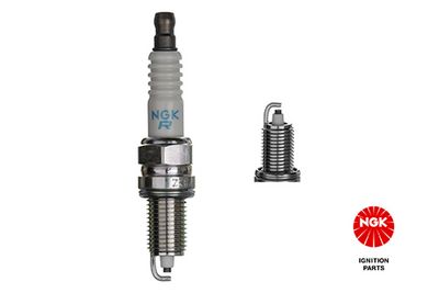 Spark Plug 1691